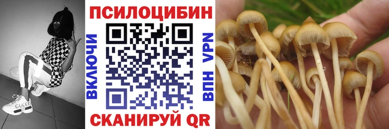 Галлюциногенные грибы мицелий  Питкяранта 